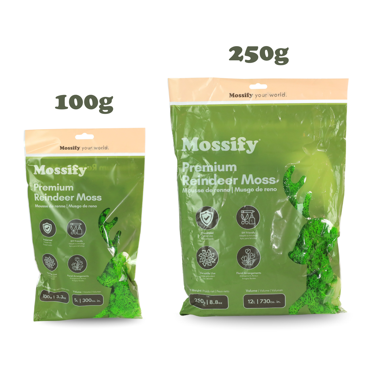 Premium Reindeer Moss Bag