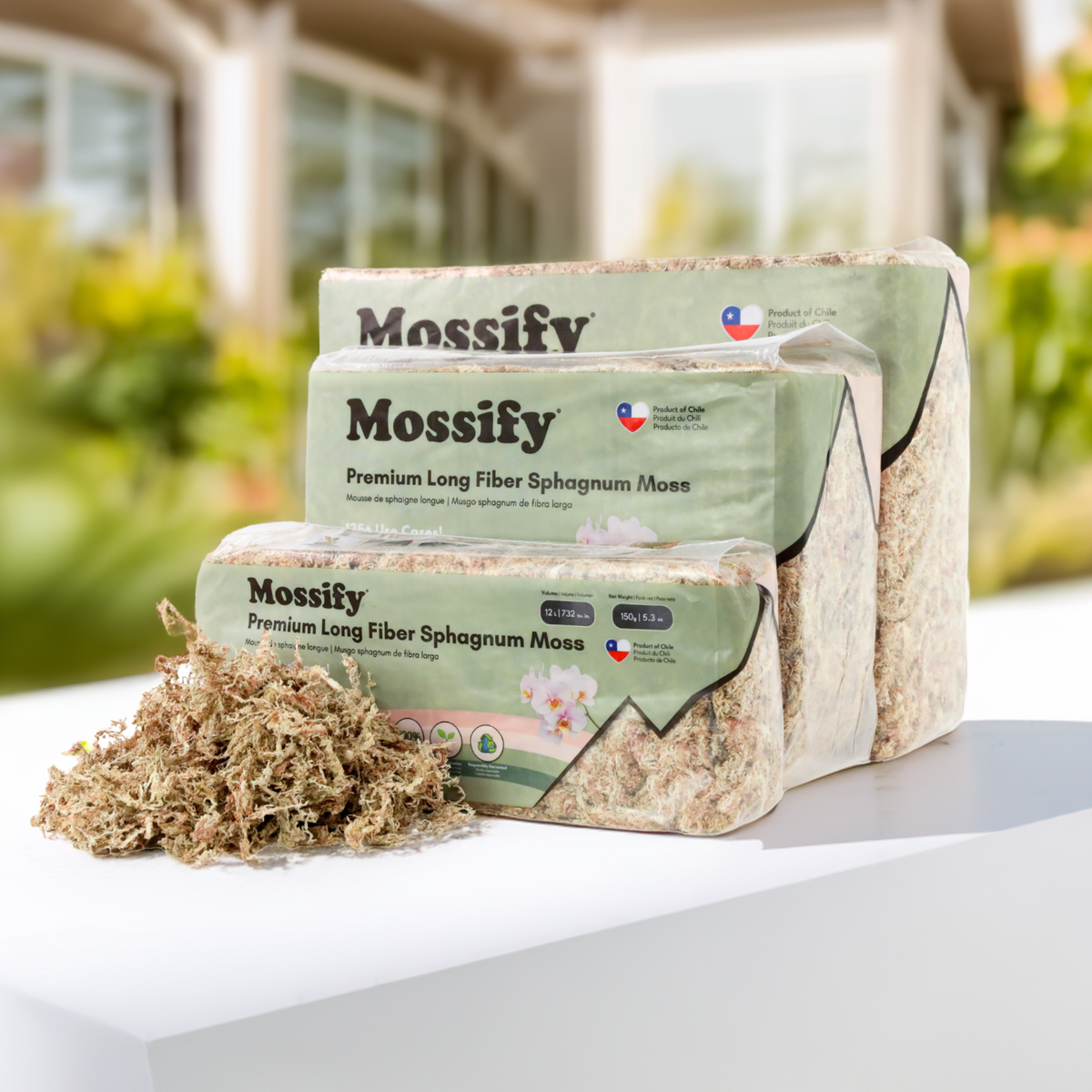 Premium Sphagnum Moss