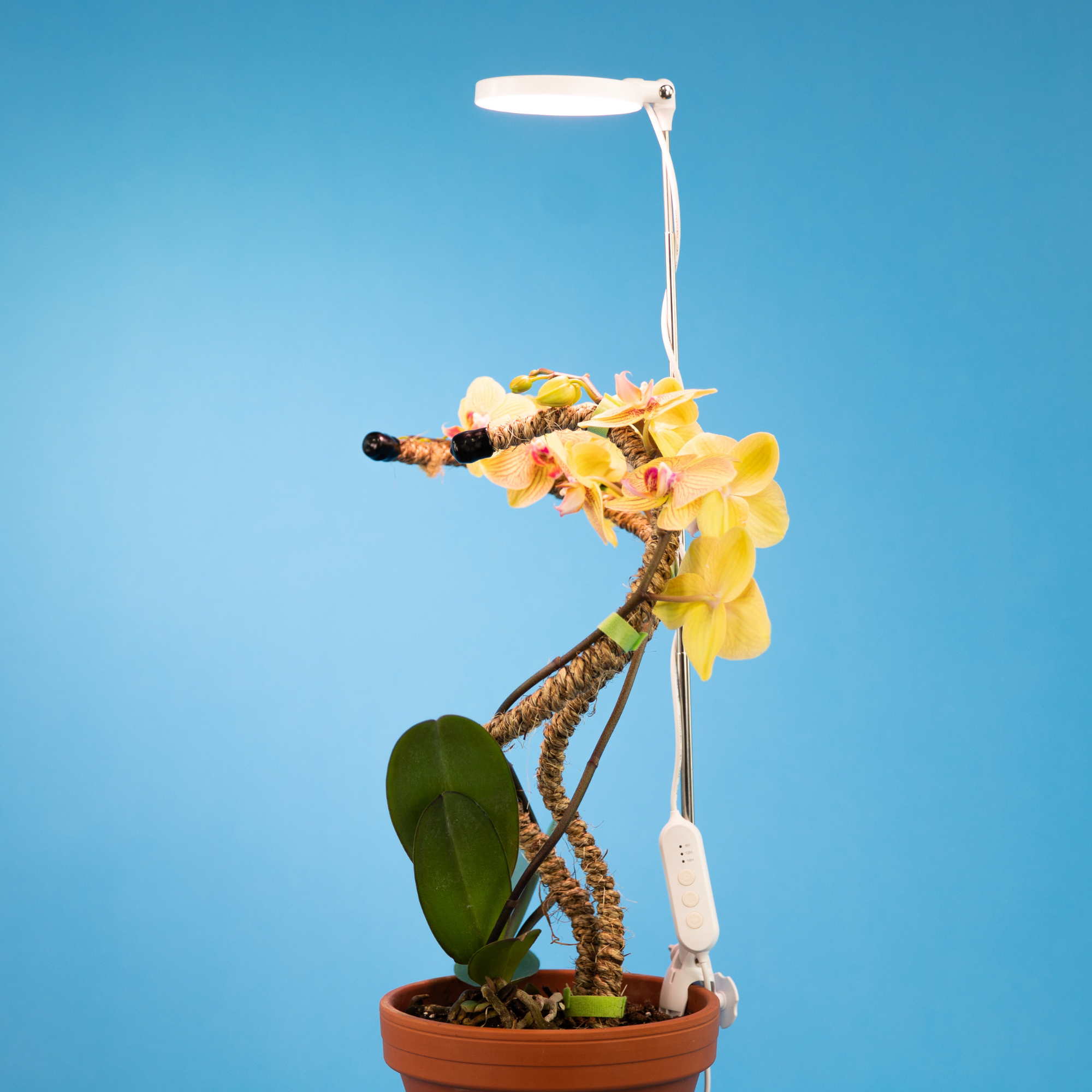 28" Adjustable LED Plant Light