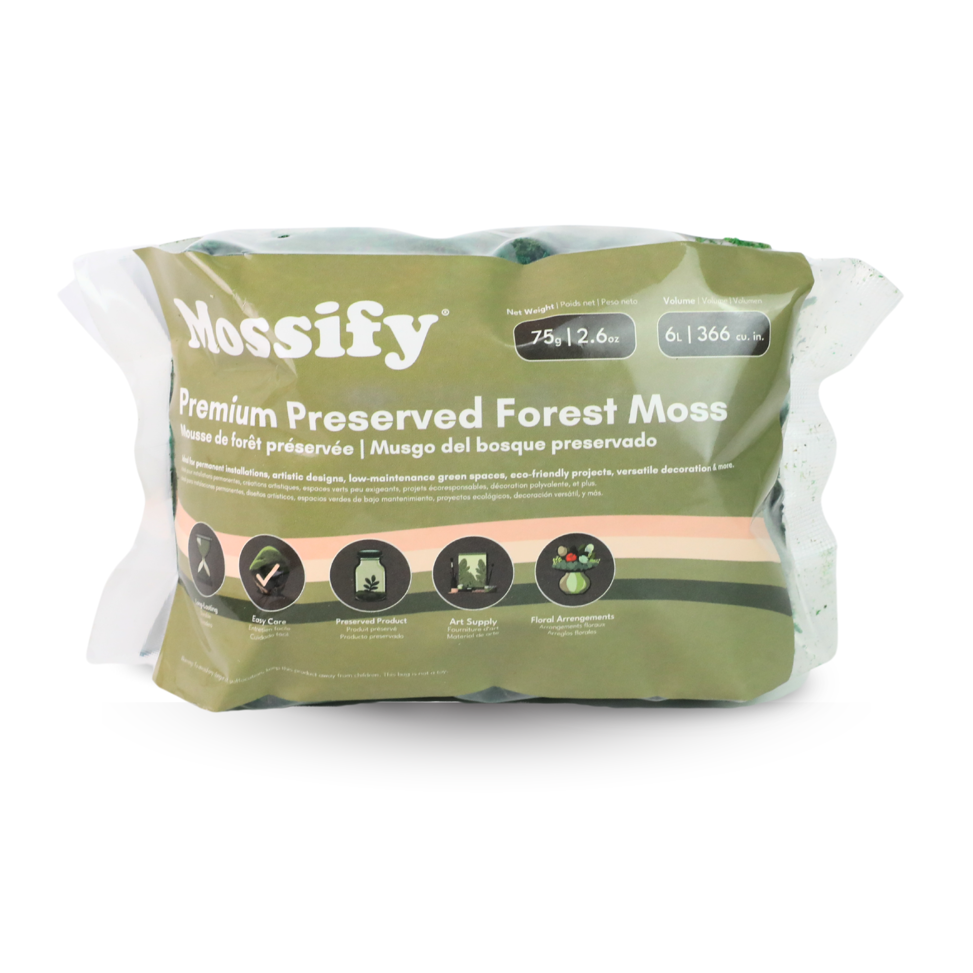 Premium Preserved Forest Moss