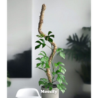 Ultimate Bendable Plant Support Pack