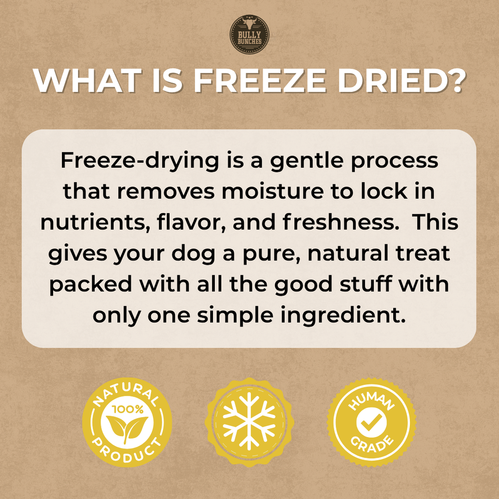 Freeze Dried Chicken 100g / 3.5oz