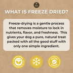 Freeze Dried Chicken 100g / 3.5oz