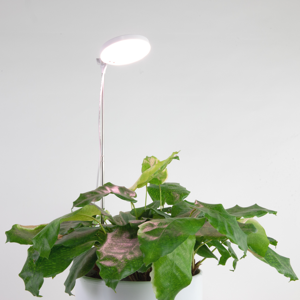 28" Adjustable LED Plant Light