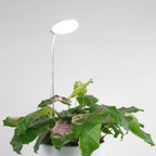 28" Adjustable LED Plant Light