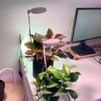 28" Adjustable LED Plant Light