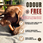 6 Inch Jumbo Bully Stick