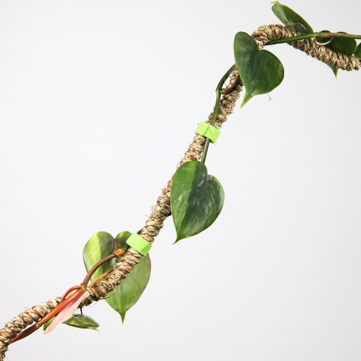Reusable Plant Tape