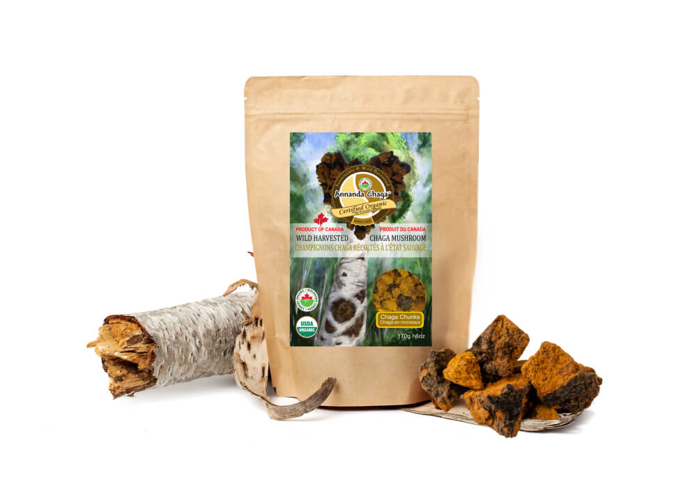 Wild Canadian Chaga Mushroom Chunks — Traditional Cut
