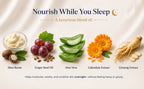 Midnight Restore Night Crème for Anti-Aging & Wrinkles