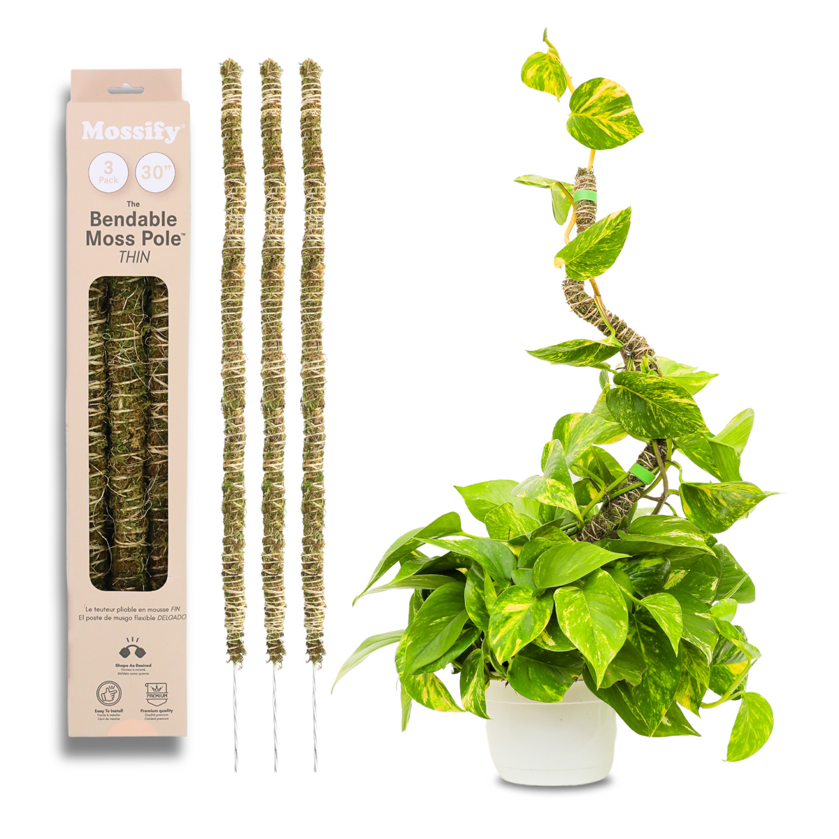 The Bendable Moss Pole™ 𝘛𝘏𝘐𝘕
