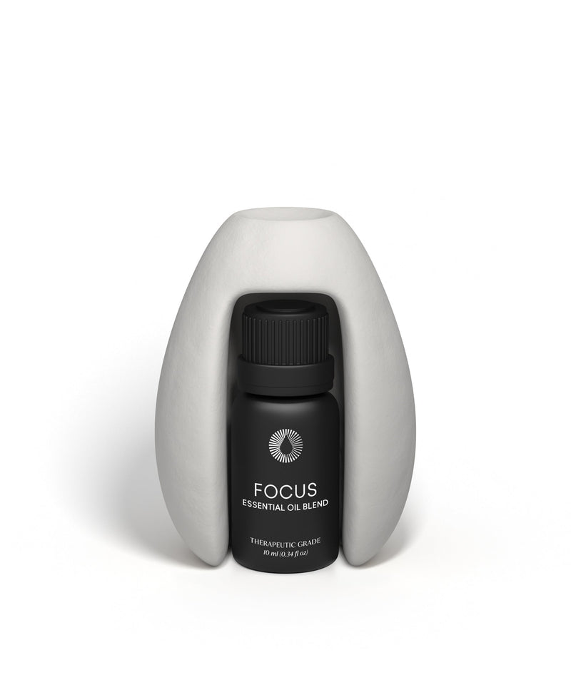 Focus Diffuser Kit