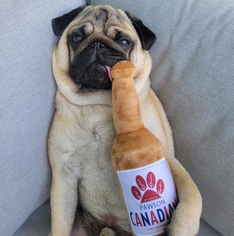 Pawson Canadian Dog Toy (LIMITED SUPPLY)