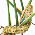 The Original Bendable Moss Pole™ - Best Seller (Pins Included)