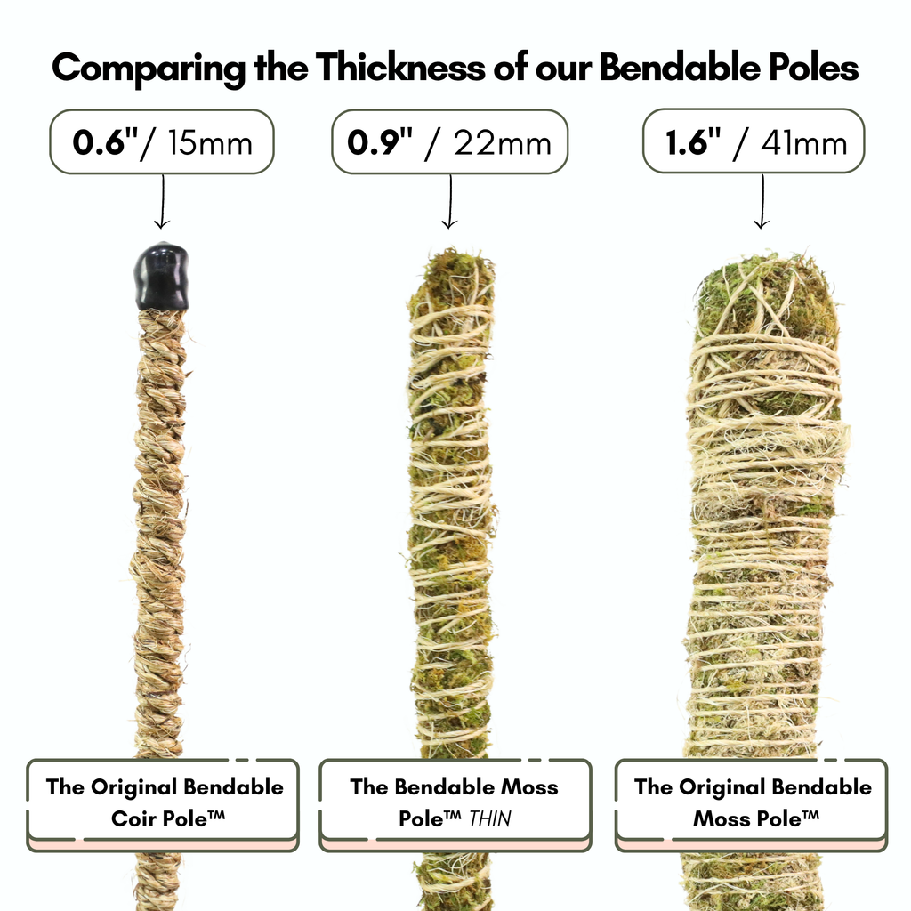 The Original Bendable Moss Pole™ - Best Seller (Pins Included)