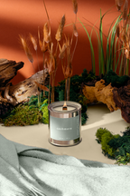 Cashmere | Ylang Ylang + Vanilla + Bergamot