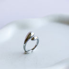 La Nocerra — Silver