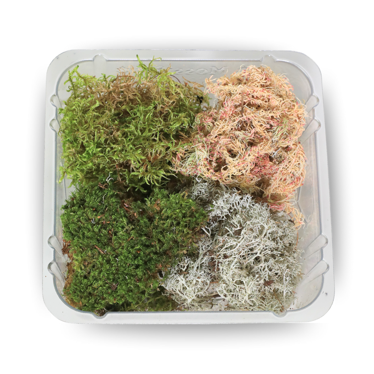 Revita-Moss™ Mixed Pack