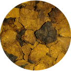 Wild Canadian Chaga Mushroom Chunks — Traditional Cut
