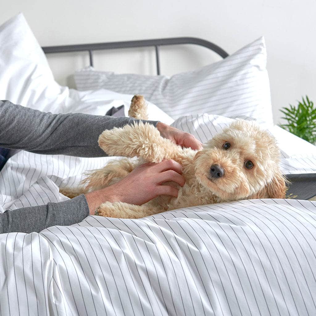 Essential Organic Percale Collection Pillowcase Set