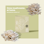 Pearl Oyster Mushroom Kit