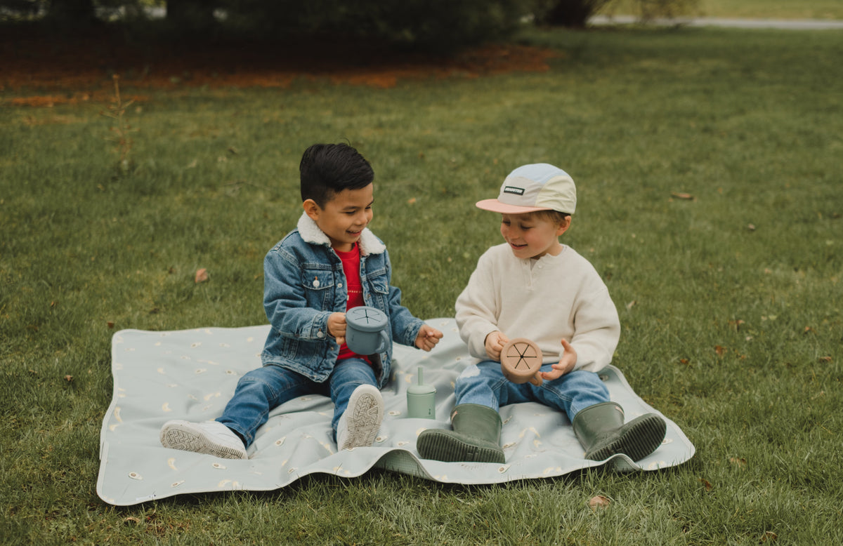 Waterproof Multi-Use Play Mat for Babies and Children