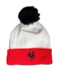 Winter Toque
