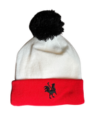 Winter Toque