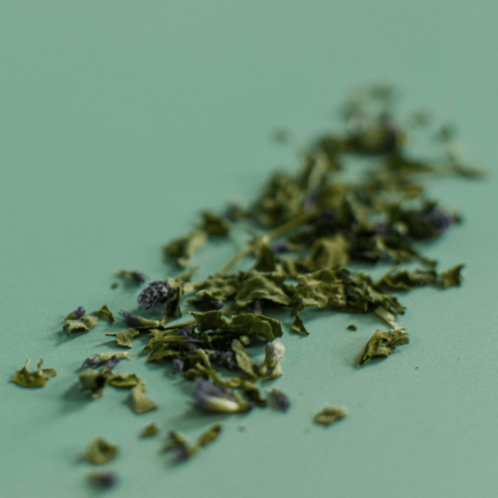 Anise Hyssop