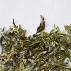 Mugwort