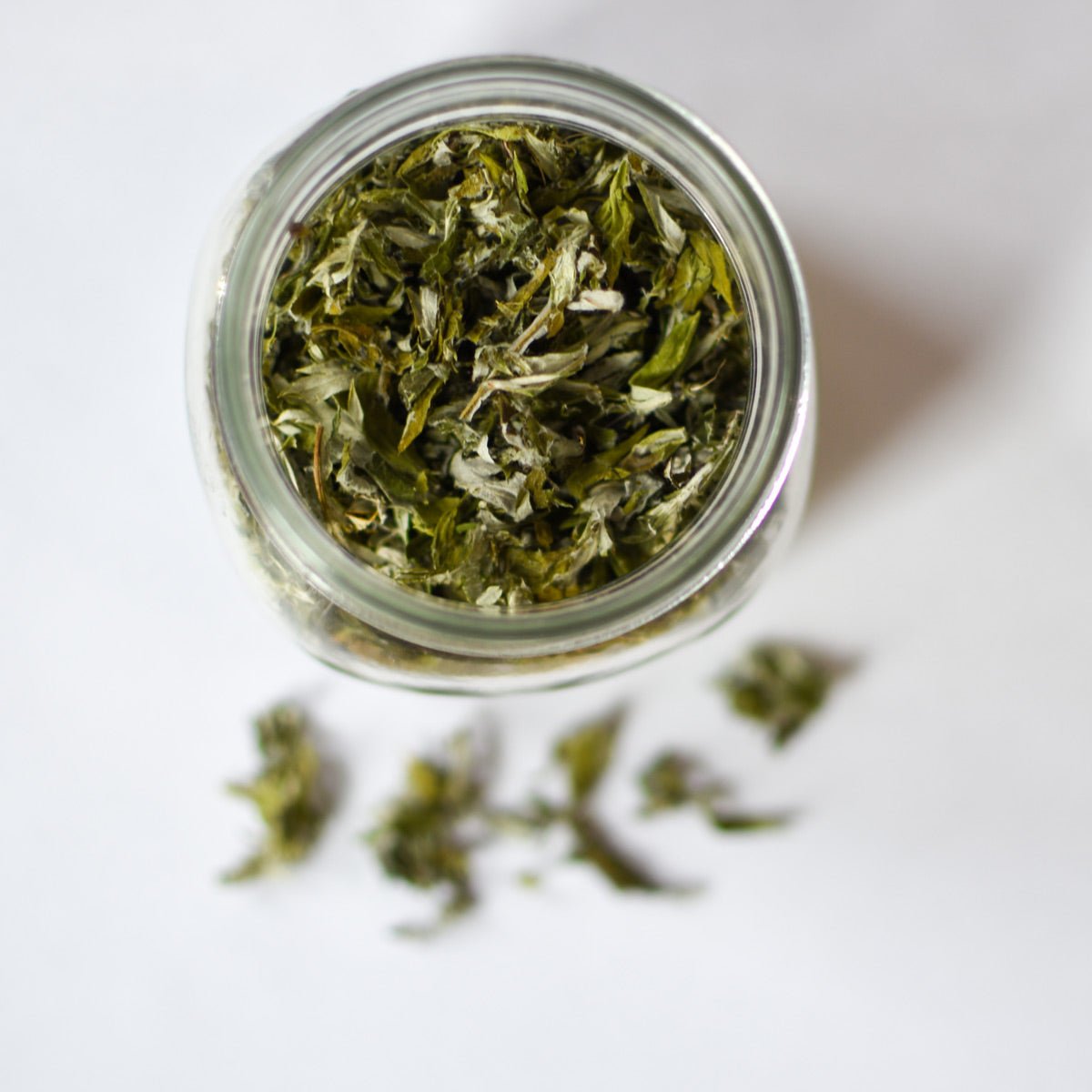 Mugwort