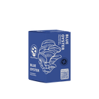 Blue Oyster Mushroom Kit
