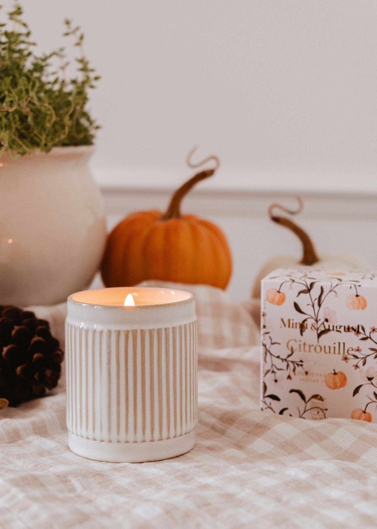 Citrouille – Reusable Soy Candle