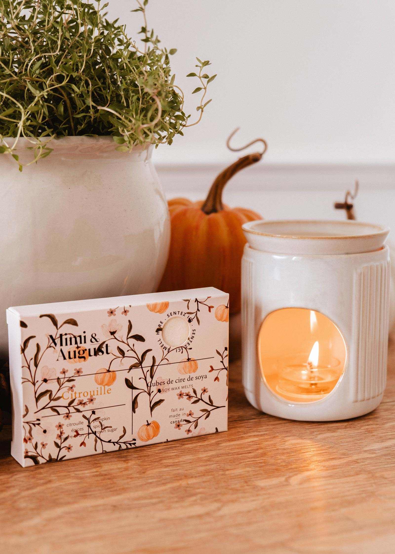Soy Wax Melts - Citrouille