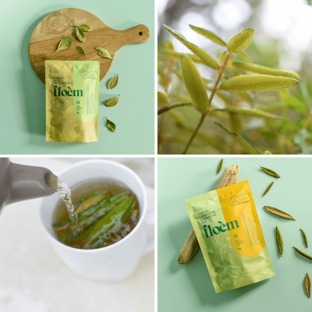 Herbal Tea Set — Complete Variety Pack