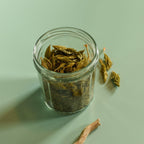 White Spruce, shoot