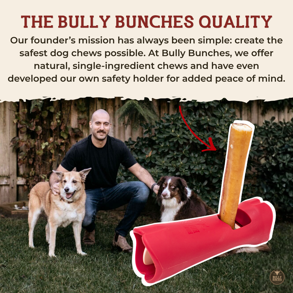 12 Inch Jumbo Bully Stick