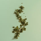 Raspberry Leaf — Rubus idaeus