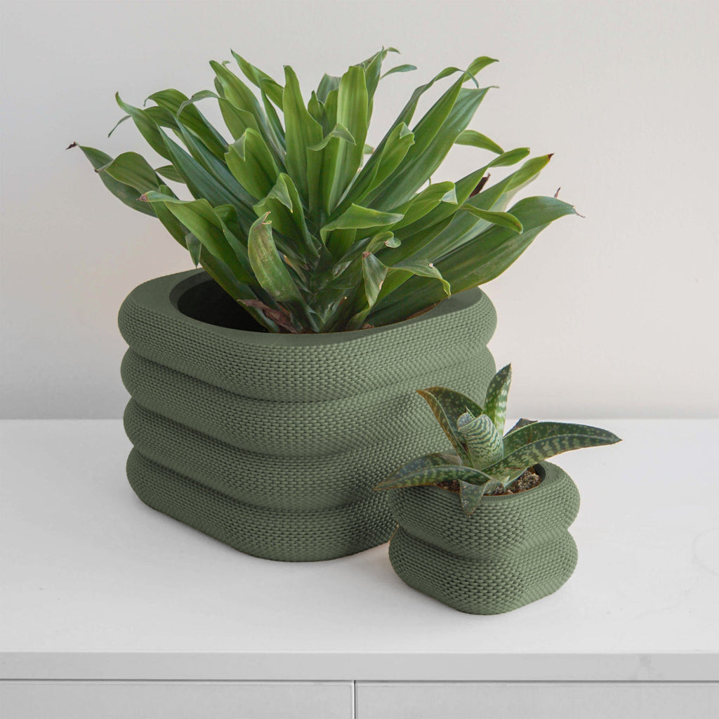 Yew Planter