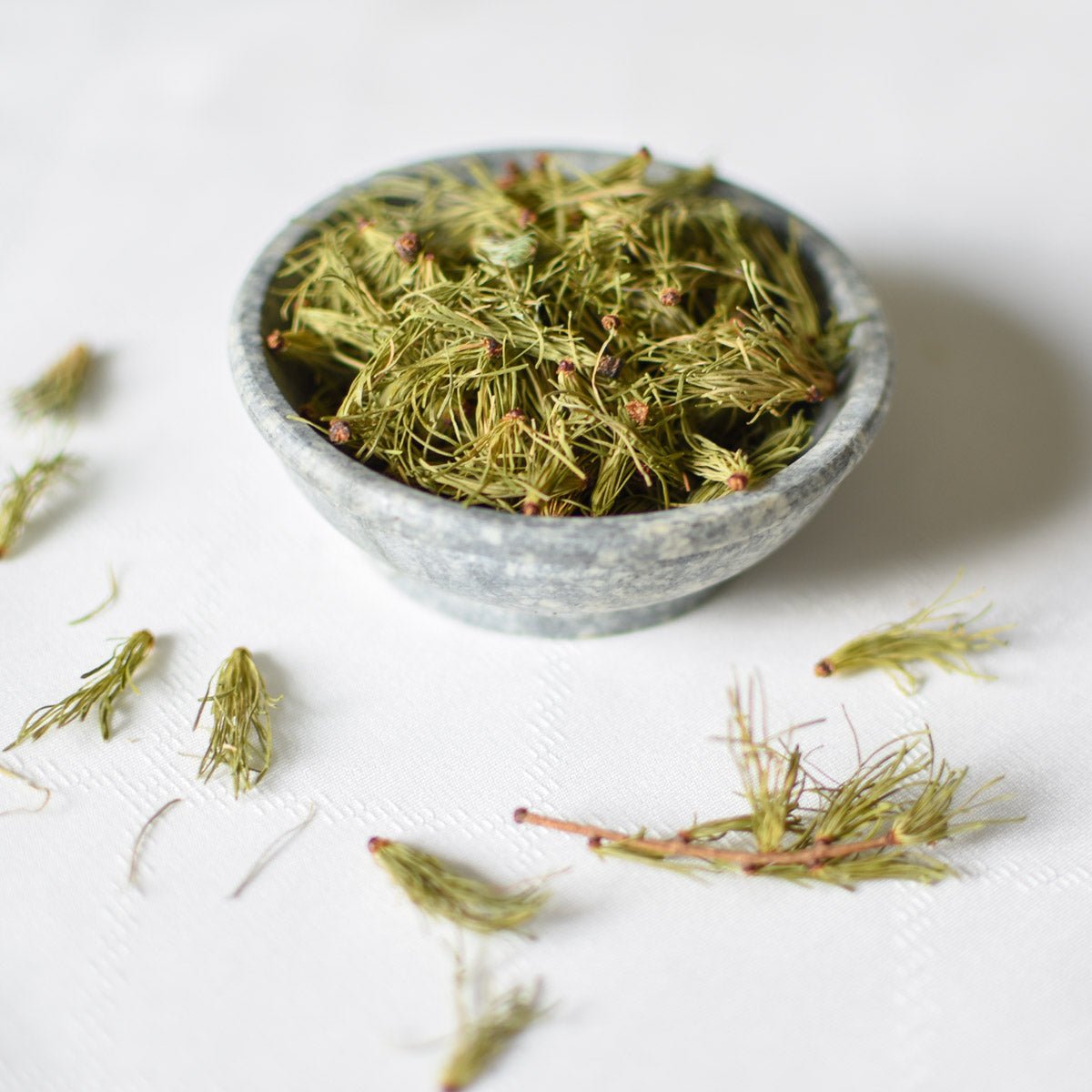 Larch, needle