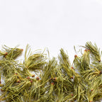 Larch, needle