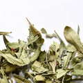 Sweet Gale, leaf