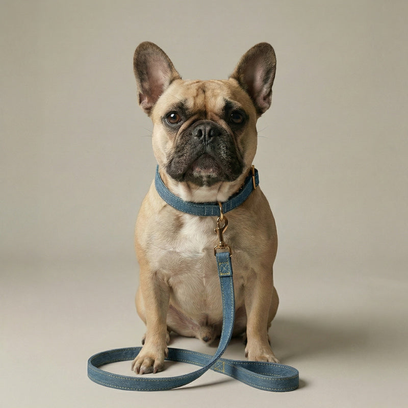 Denim Leash