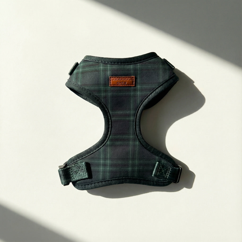 Plaid Harness