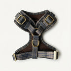 Plaid Harness