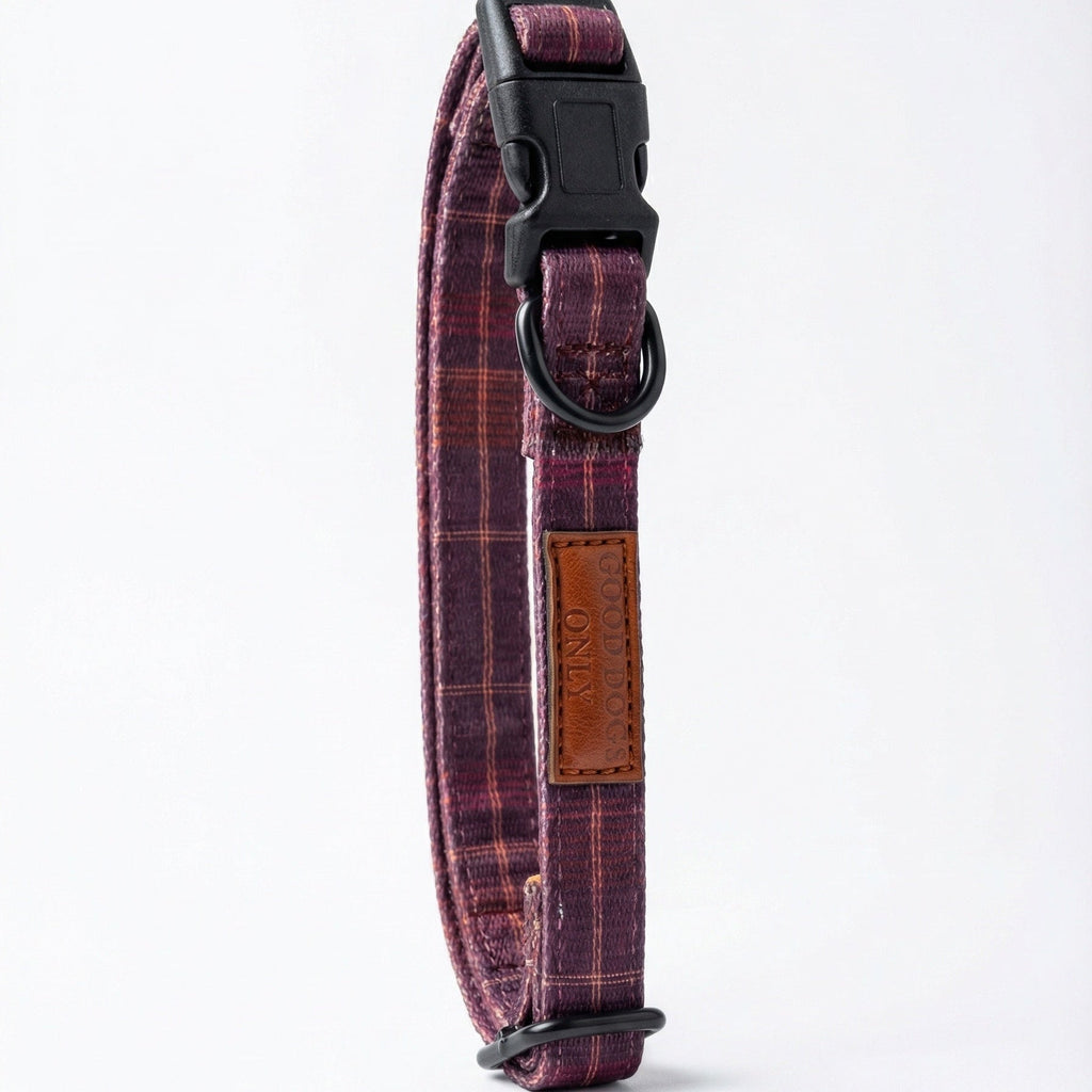 Plaid Collar