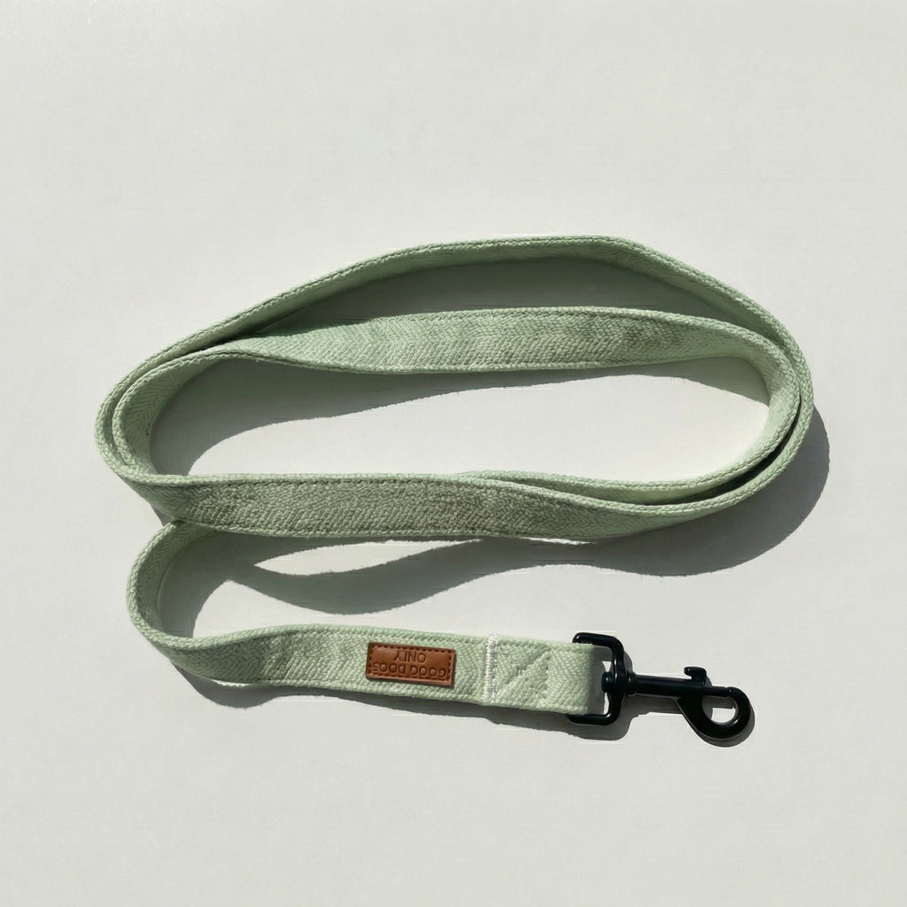 Tweed Leash
