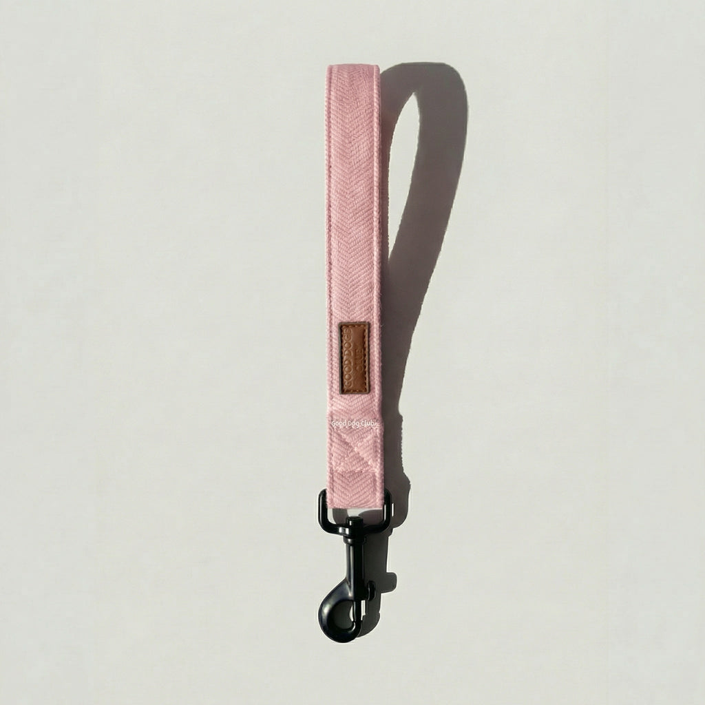 Tweed Leash
