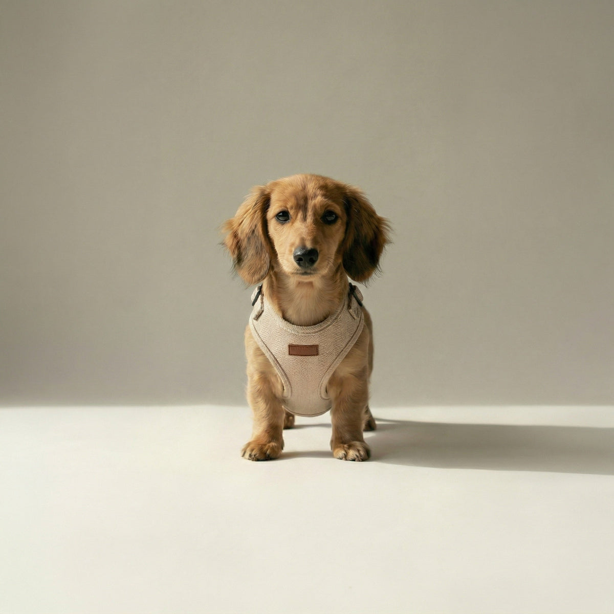 Tweed Harness