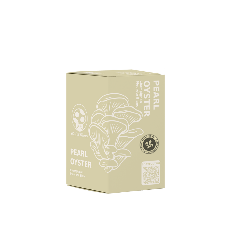 Pearl Oyster Mushroom Kit